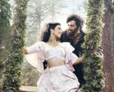 Download Laila Majnu (2018) Hindi Movie || 720p [1GB] || 1080p [2GB] || Moviesverse